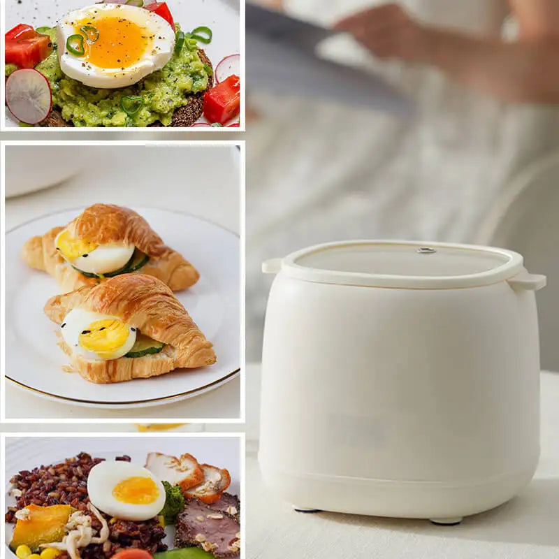 EggEase Smart 300W Electric Egg Boiler & Omelette Cooker