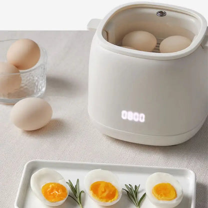 EggEase Smart 300W Electric Egg Boiler & Omelette Cooker